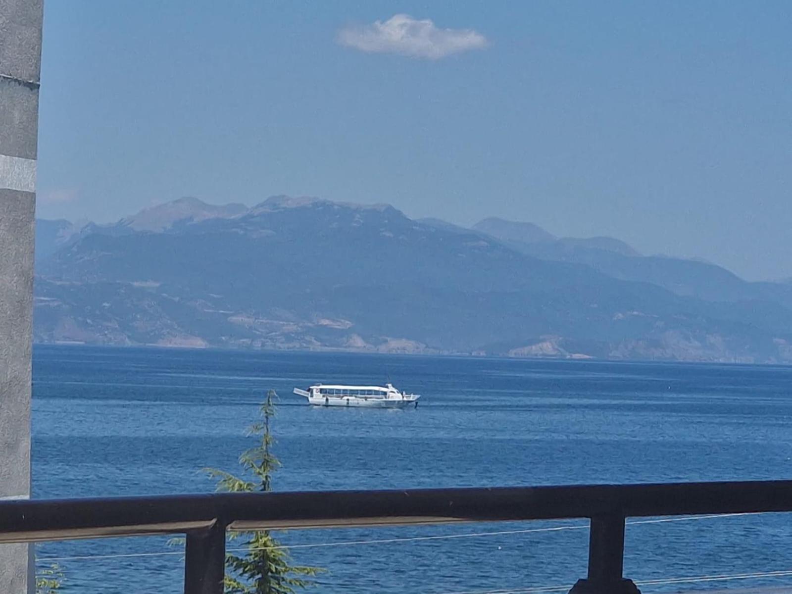 Elton Tushemisht Pogradec
